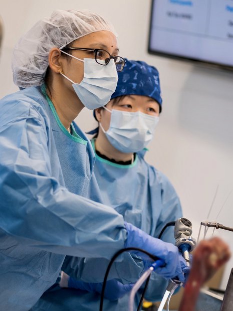 HK Wrist Course 2024 - Workshops  - 96 of 241